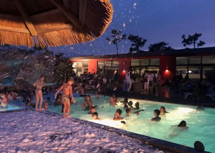 Camping Mobil-home 4 Pers à Avec Terrasse - Api-1-52-1456